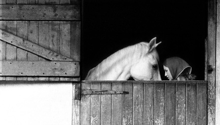 November-Girl-and-Horse-Sam-Haskins.jpg