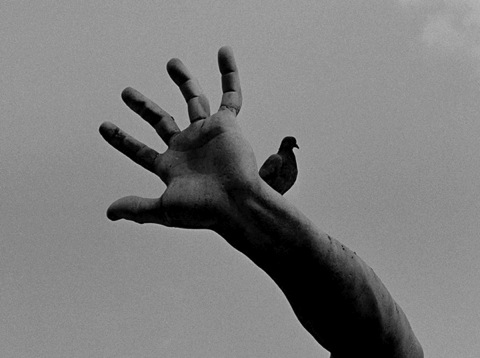 Rome Hand with pigeon